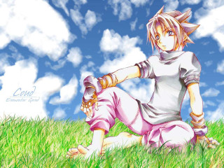 Anime boy sitting grass sword - cloud and grass free wallpaper
