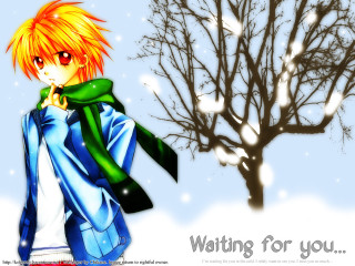 Young man orange hair scarf - a young man free wallpaper