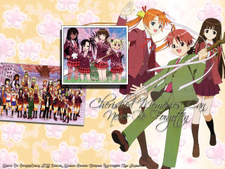 Anime couple floral hanami school - a picture of them free wallpaper for desktop