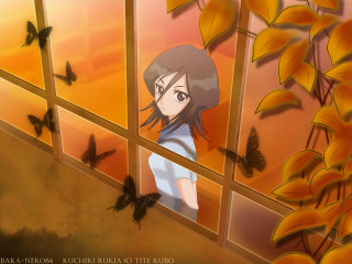 Girl butterflies window autumn yellow - a yellow sky free wallpaper for desktop