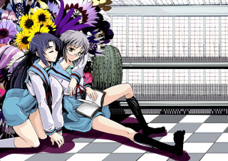 Couple floor bench flowers cactus - a floor next free wallpaper