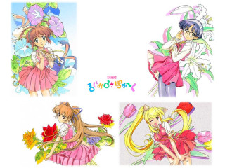 Anime flowers cat girls dress - three anime character free wallpaper