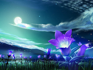 Flower field fullmoon blue sky - dreamlike free wallpaper for desktop