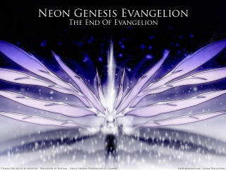 Large white bird purple wings - back end free wallpaper for desktop