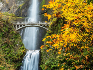 Bridge waterfall autumn scenery nature - a waterfall below free wallpaper