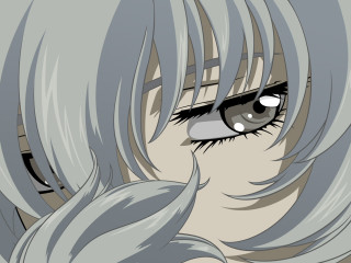 Closeup longhair blueeyes greyhair greyeyes - a close up of a person free wallpaper