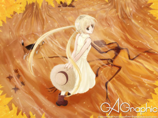 Girl white dress hat bird 2 - a white dress holding free wallpaper