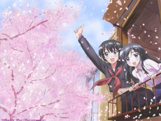 Balcony cherry blossoms anime girls - a balcony free wallpaper for desktop