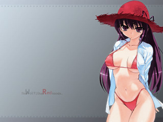 Red hat bikini woman gray - a gray background free wallpaper for desktop