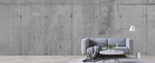 Grey couch white rug table - neutral dull color free wallpaper