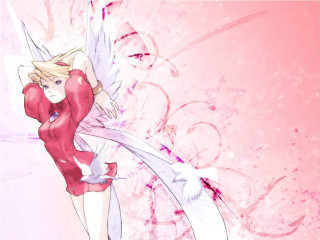 Angel woman pink wings cherry - white wing free wallpaper