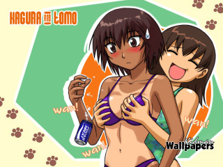 Furry bikini beer groping yuri - suit free wallpaper for desktop