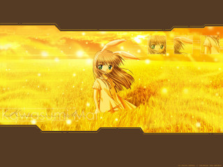 Girl bunny forest yellow sunset - a bunny ear free wallpaper