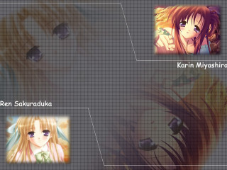 Anime characters group multicolored expressions - kyoto animation free wallpaper