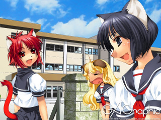 Anime characters outside building cat - their shoulder free wallpaper