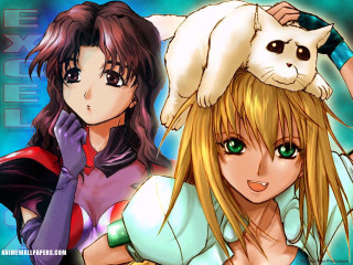 Anime cats on head two - their head free wallpaper