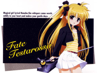 Fate testorosa blonde girl sword - a sword and a hat free wallpaper