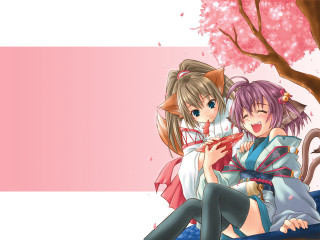 Two anime girls bench cat - their shoulder free wallpaper for desktop