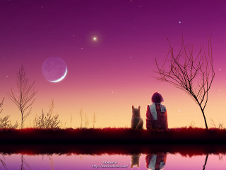 Moon starry sky bench dog - the moon free wallpaper