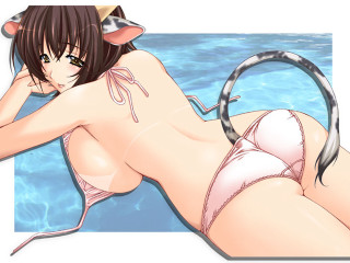 Cartoon woman bikini cat ears - a cartoon picture of a woman in a bikini free wallpaper