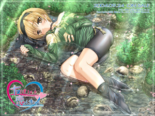 Woman lying forest blonde brown - the ground in a forest free wallpaper