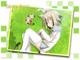Grass sitting cat lap anime - a picture of a person free wallpaper