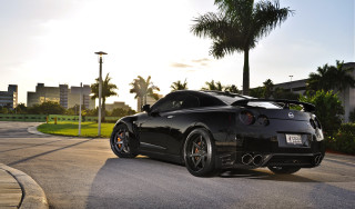 Black sports car palm tree 2 - a black sports car free wallpaper