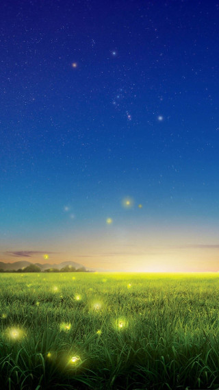 Field grass fireflies night sky - environmental free wallpaper for mobile