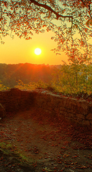 Bench dirt field tree sunset - free sunset wallpaper