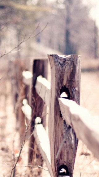 Wooden fence hole grass field - free forest wallpaper for mobile