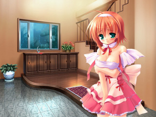 Pink dress woman room plant - a room free wallpaper for desktop