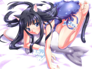 Alice cat tails anime furry - top of a bed next free wallpaper for desktop