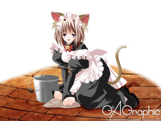 Cat girl coffee mug aya - a cup of coffee free wallpaper