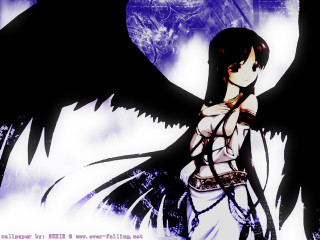 Gothic anime woman blackwings purplenight - a black bird free wallpaper for desktop