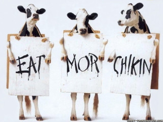 Three cows holding signs eat - letterism free wallpaper
