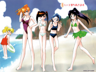 Beach girls surfboard cartoon anime - manga and anime 1 9 9 9 free wallpaper