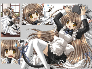 Girl cat maid anime brown - long hair and a cat ears free wallpaper