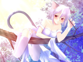 Woman white dress cat tail - a cat tail free wallpaper for desktop