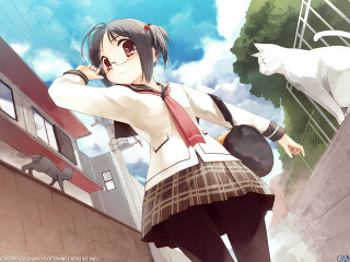 Girl school uniform cat outdoors - a girl in a school uniform free wallpaper for desktop