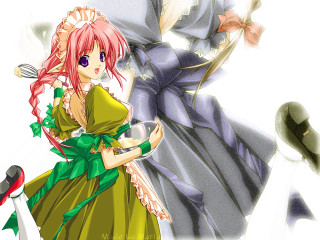 Anime maid dress bird food - dress free wallpaper