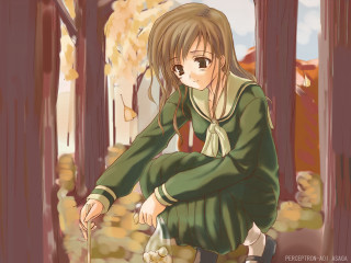 Girl forest green dress dog - a bench in a forest free wallpaper