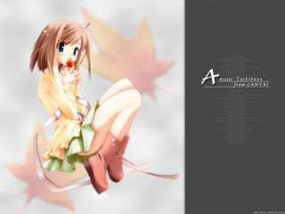 Alice prin anime bird leaf - her shoulder and a bird free wallpaper