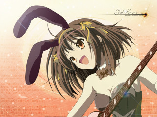 Girl guitar hat bow animal - her hand and a hat free wallpaper