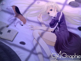 Alice prin girl bed cat - a cat free wallpaper