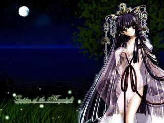 Moon galaxy fireworks veil grass - gothic art free wallpaper for desktop