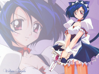 Anime girl cat ears sword - yukito kishiro free wallpaper