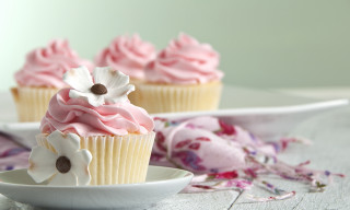 Cupcakes on plate with flower - a plate free wallpaper for desktop