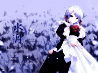 Woman white dress snow field - a white dress free wallpaper for desktop