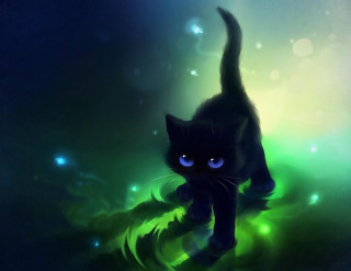Black cat glowing eyes underwater - a field of grass and grass free wallpaper
