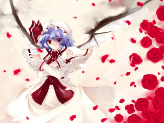 Anime girl blue hair white 8 - red rose free wallpaper for desktop